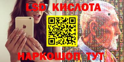 прущие грибы Можга