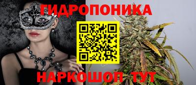 прущие грибы Можга