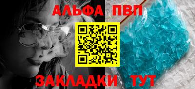 прущие грибы Можга