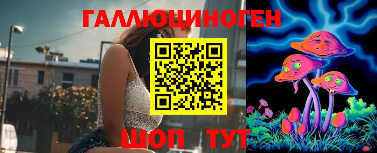 Владикавказ  Псилоцибиновые грибы прущие грибы  Вход с VPN  Псилоцибиновые грибы Cubensis 